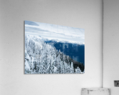 Cypress Mountain 1  Impression acrylique