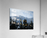 Cypress Mountain 2  Impression acrylique