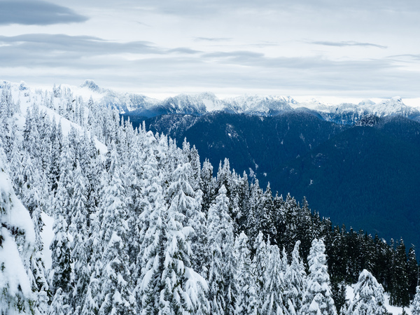 Cypress Mountain 1 Print