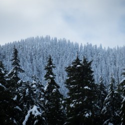 Cypress Mountain 2