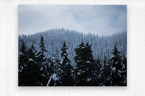 Cypress Mountain 2  Metal print