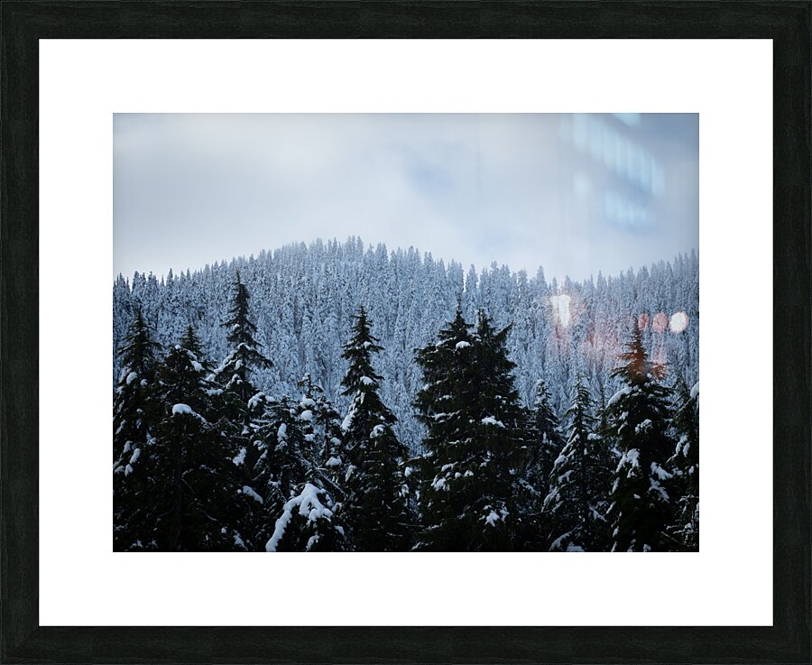 Cypress Mountain 2 Frame print