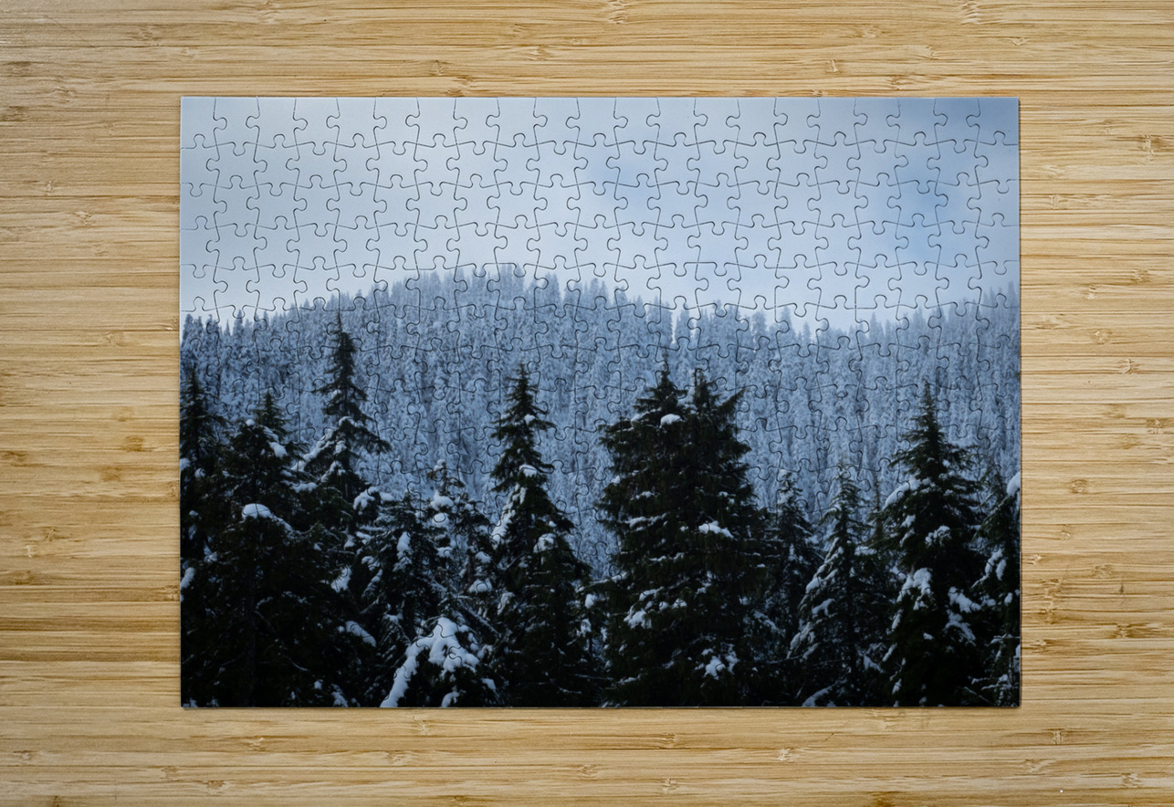 Cypress Mountain 2  HD Metal print with Floating Frame on Back