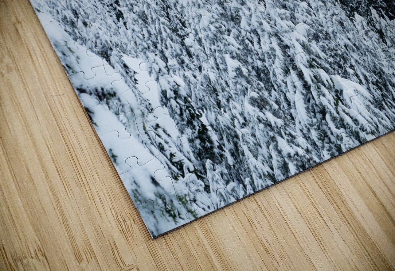 Cypress Mountain 1 HD Sublimation Metal print
