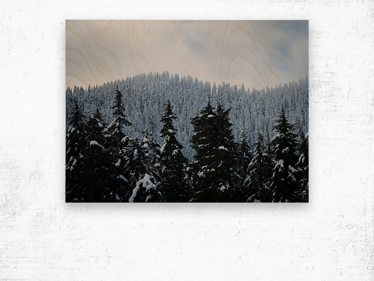 Cypress Mountain 2 Wood print